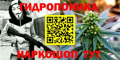 амф Ливны