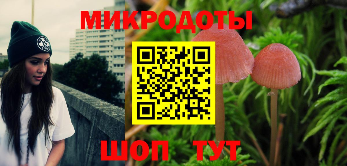 купить   Псилоцибиновые грибы мухоморы  Вход с VPN  Галлюциногенные грибы мухоморы  Пятигорск 